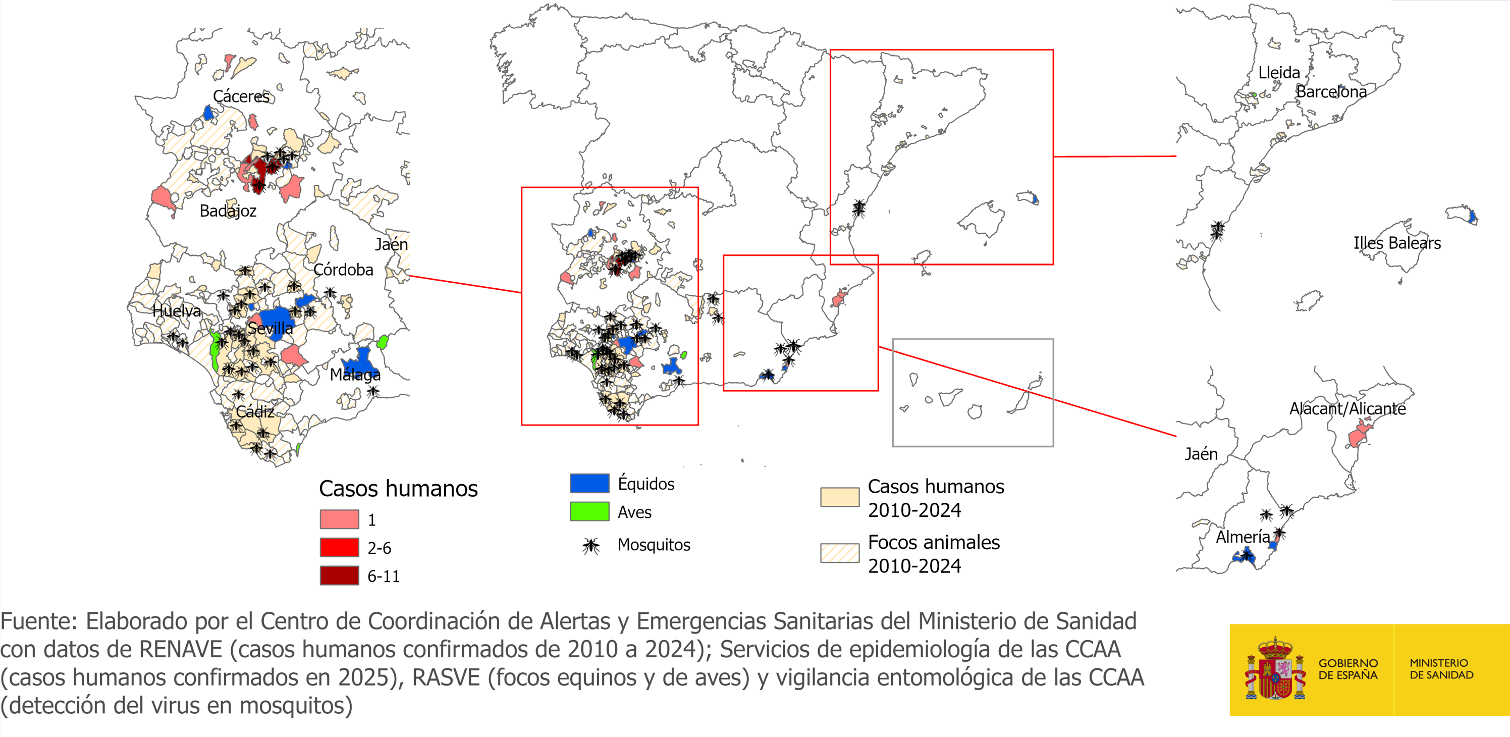 Casos humanos confirmados y focos animales en España en la temporada 2025