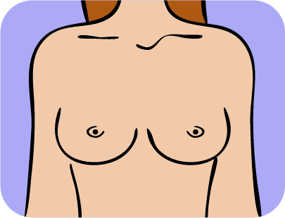 Icono Programa de cribado cáncer de mama