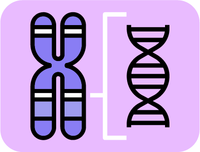 Icono Programa de cribado prenatal de cromosomopatias