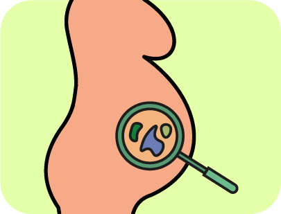 Icono Programa de cribado prenatal enfermedades infecciosas