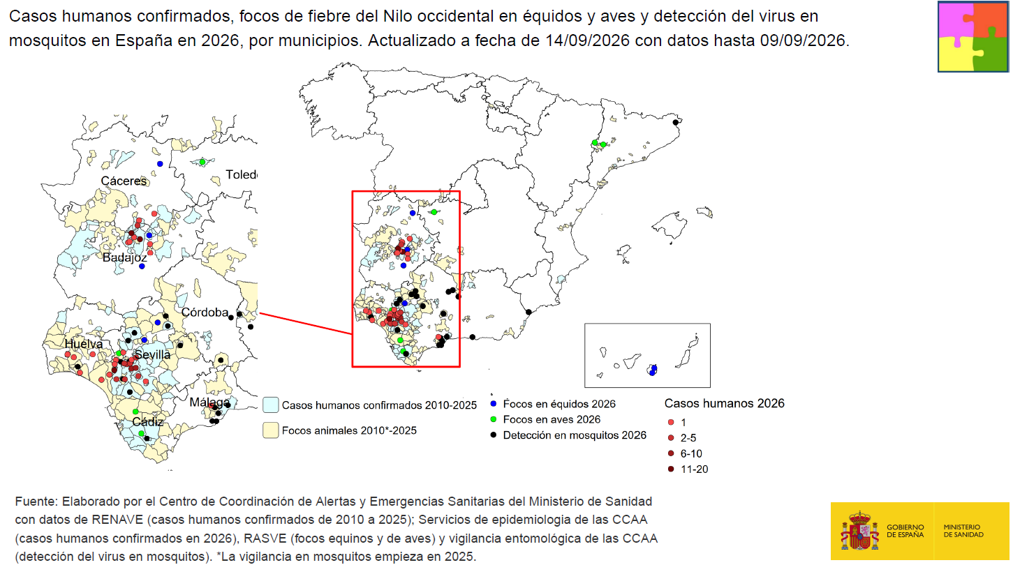 Casos humanos confirmados y focos animales en Espa&ntilde;a en la temporada 2026