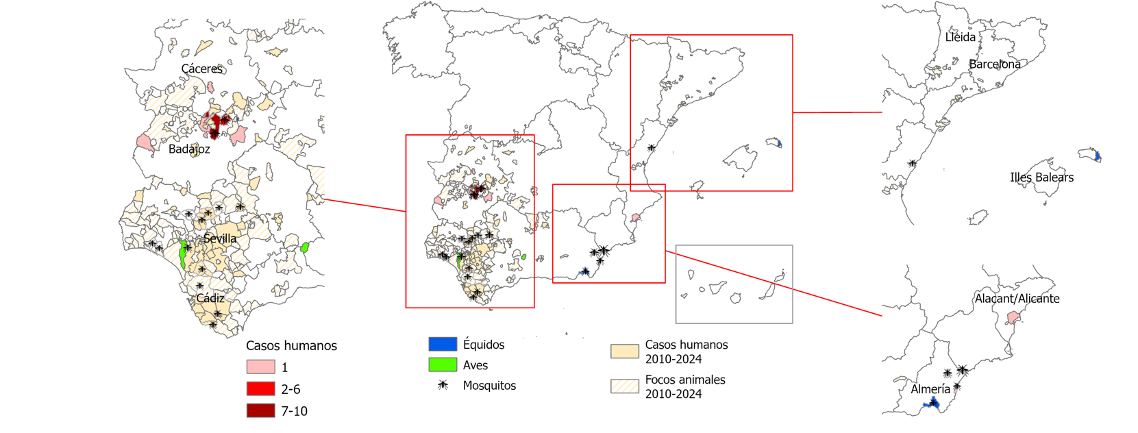 Casos humanos confirmados y focos animales en España en la temporada 2025