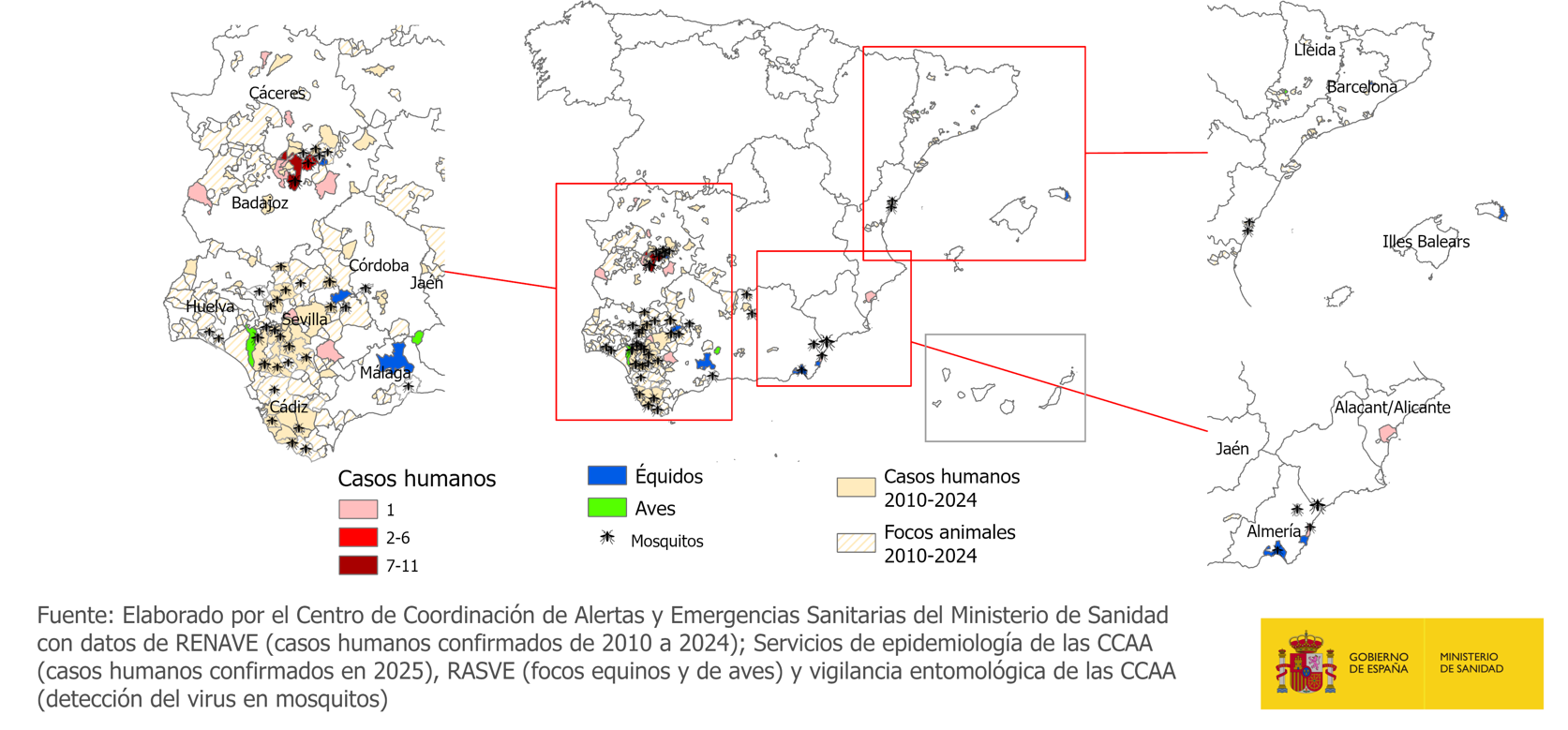 Casos humanos confirmados y focos animales en España en la temporada 2025