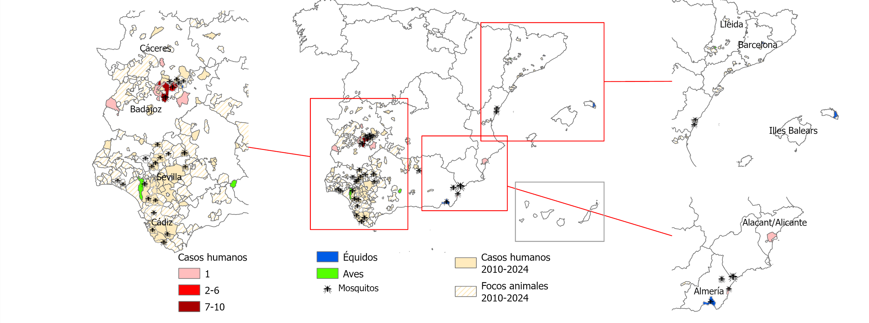 Casos humanos confirmados y focos animales en España en la temporada 2025