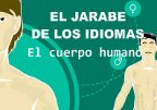 Jarabe de los idiomas