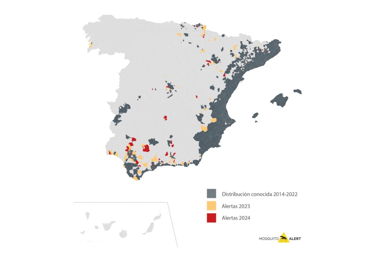 Imagen del artículo El mosquito tigre ha sido detectado en 156 municipios españoles desde 2023