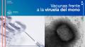 22/08/2022 - El Ministerio de Sanidad anuncia la llegada de 5.000 dosis adicionales de vacunas contra la viruela del mono o Monkeypox