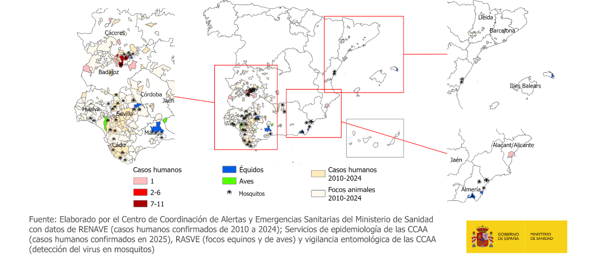 Casos humanos confirmados y focos animales en España en la temporada 2025