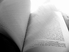Flickr Hojas de un libro