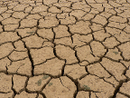 Imagen de Flickr Suelo tierra seca