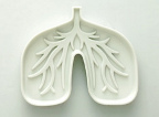 Imagen de Flickr Pulmones