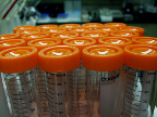 Imagen de Flickr Tubos de muestras