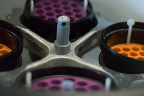 Imagen de Flickr Laboratorio
