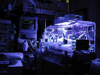 Imagen de Stefan Gara Unidad de Neonatología