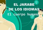 Imagen de la web Jarabe de los idiomas