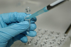 Imagen de IRRI Images ISA
