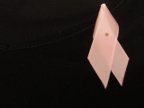Imagen de akirsa Lazo rosa
