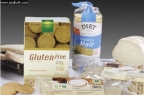 gluten msc