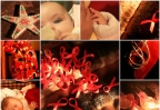 sida flickr