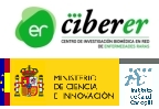 ciberer logo_ciberer