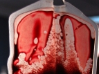 Imagen de Catwomancristi Bolsa sangre
