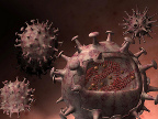 Imagen de flickr Virus 3d