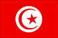 Bandera de TÚNEZ