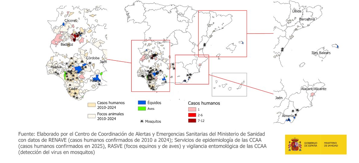 Casos humanos confirmados y focos animales en Espa&ntilde;a en la temporada 2025